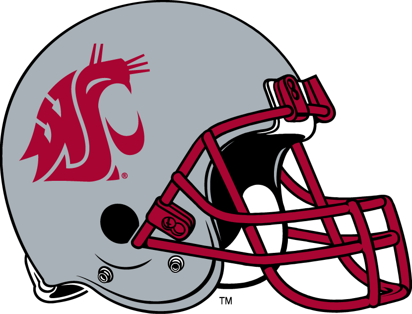 Washington State Cougars 1999-Pres Helmet Logo t shirts DIY iron ons